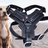 Genuine Leather Dog Harness