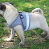 Dog Harness And Leash Set