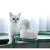 Ceramic Cat BowlCat Food BowlCat Food Rice BowlPet BowlDog BowlDog BowlWater BowlDog Food BowlPet Supplies