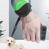 Wrist-type pet watch leash